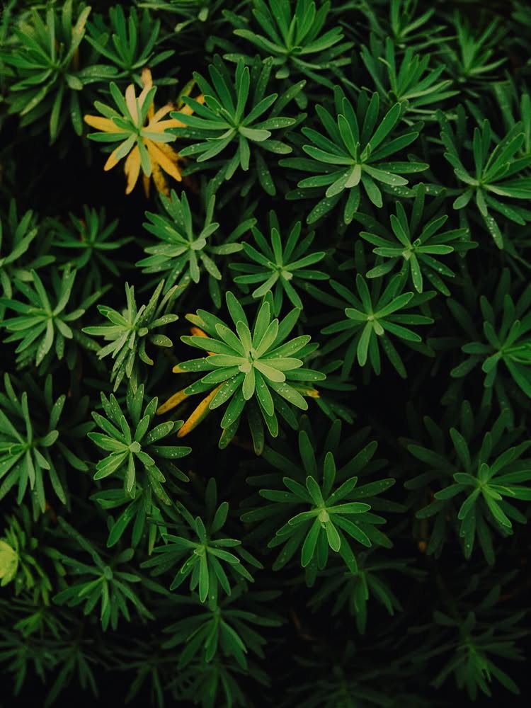 alexstrohl post