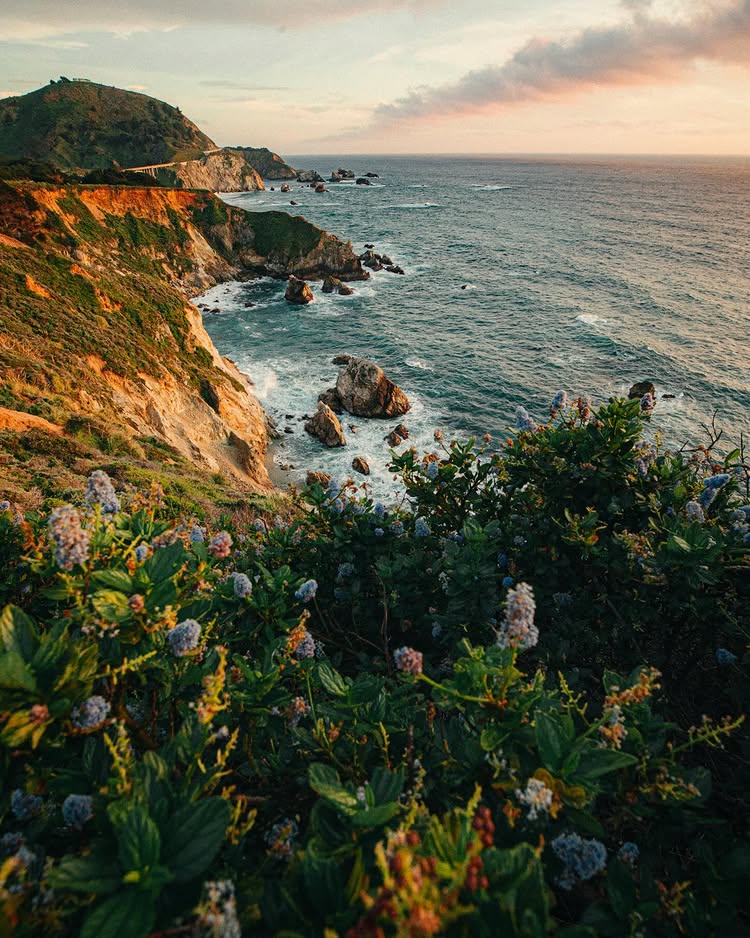 alexstrohl post