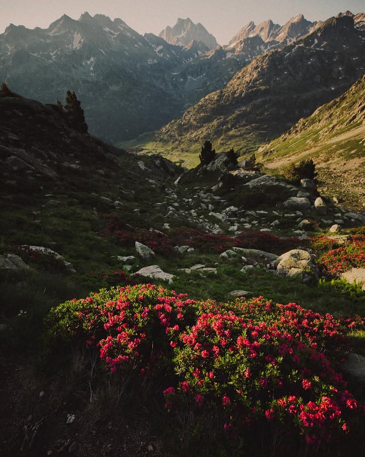 alexstrohl post