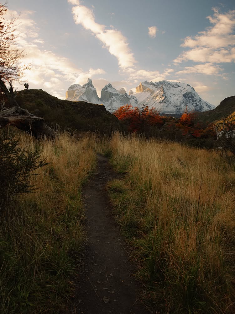 Instagram post by @alexstrohl: In and around Torres Del Paine, Patagonia - 2026. Edited on #as1pack presets