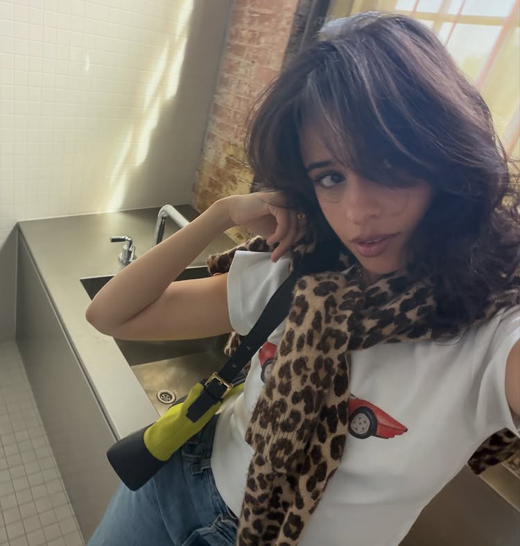 Instagram post by @camila_cabello: hi 😌