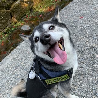 Kazuma Zaike Instagram profile picture