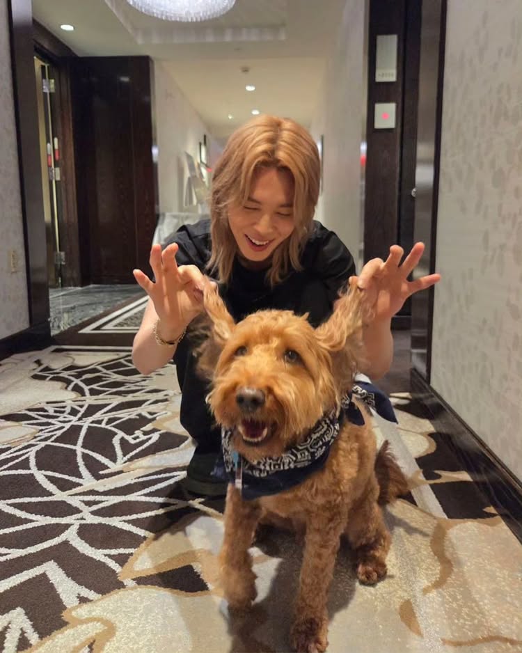Instagram post by @j.m: 😛🐕