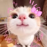 Miami Macy Instagram profile picture