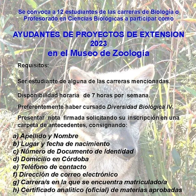 museodezoologia post
