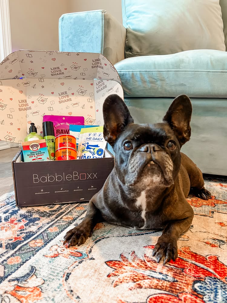 Instagram post by @surratt_holly: If you’re looking for a few easy ways to level up your dog’s daily routine, these are definitely wor…