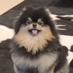 V Instagram profile picture